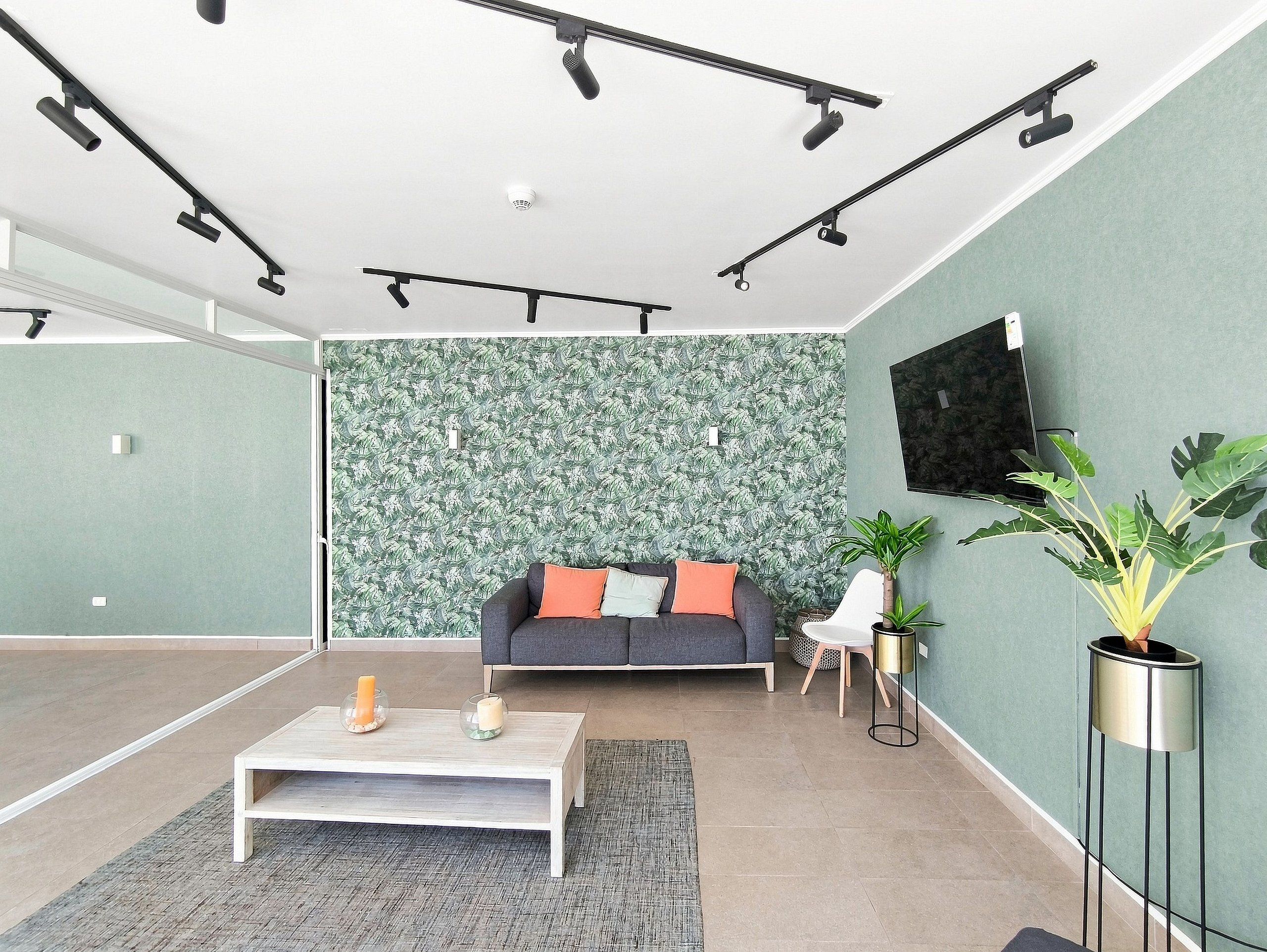 A modern living room with a sofa, coffee table, and a large plant.
