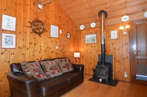 TV, fireplace, DVD player