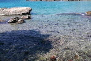 Playa