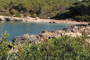 Playa