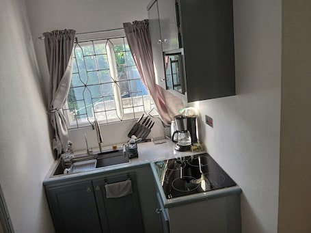 Apartment | Private kitchen | Fridge, microwave, oven, stovetop