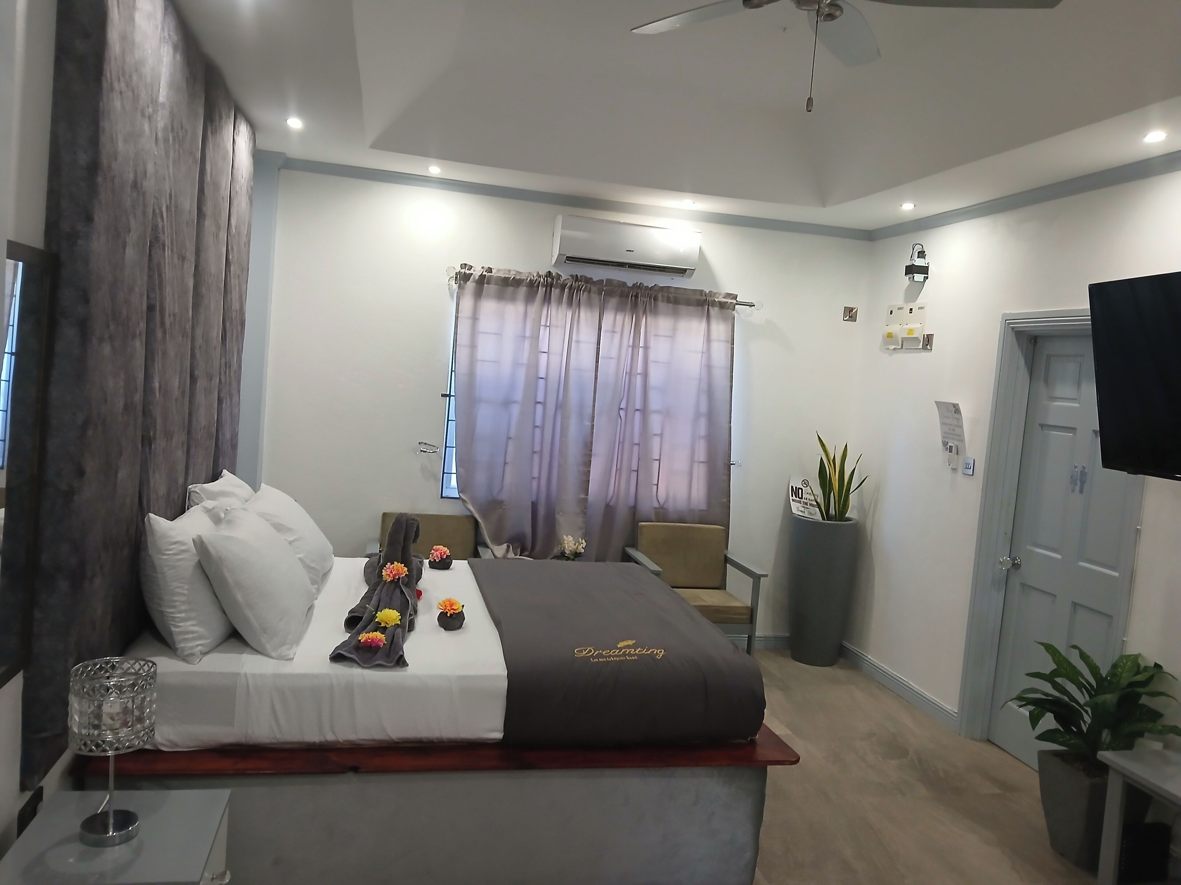 Hotelkamer met een bed, bureau, stoel, airconditioning, televisie en een plant.