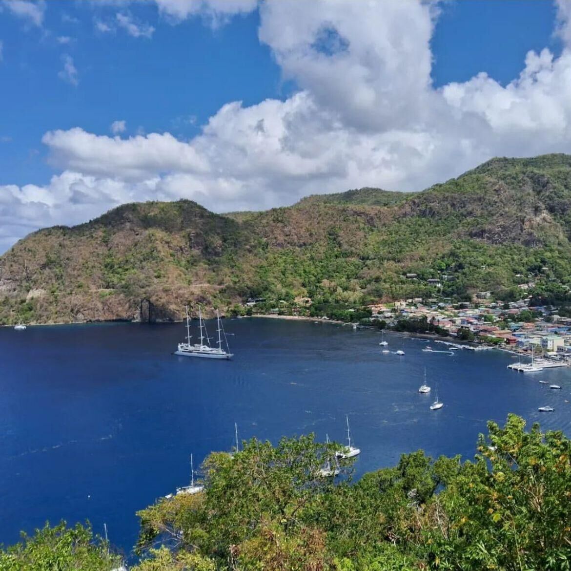 A coastal town with a marina, boats, and lush green hills.