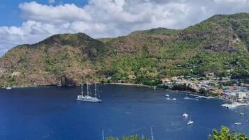 A coastal town with a marina, boats, and lush green hills.