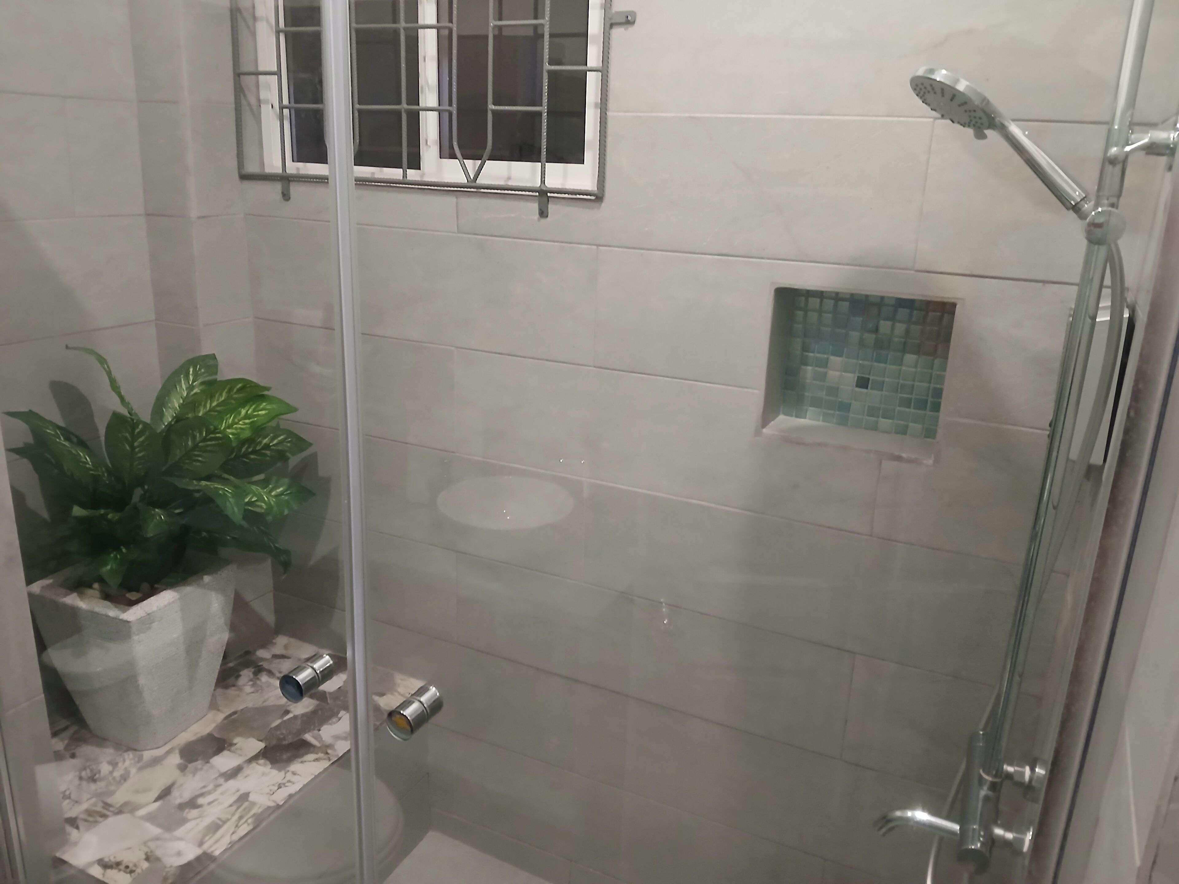 A glass-enclosed shower with a handheld showerhead, a potted plant, and a small window with bars.