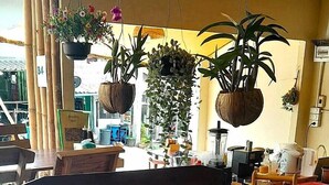 A wooden dining table with a bench, surrounded by hanging plants and a tray of yellow teapots. - Modern Bungalows (Ko Chang)