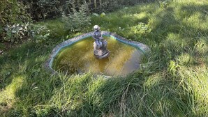 Een tuin met een standbeeld in een vijver, omringd door gras en planten.