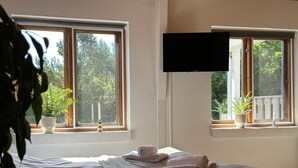 Une chambre avec deux lits, un téléviseur fixé au mur et des fenêtres ornées de plantes en pot.