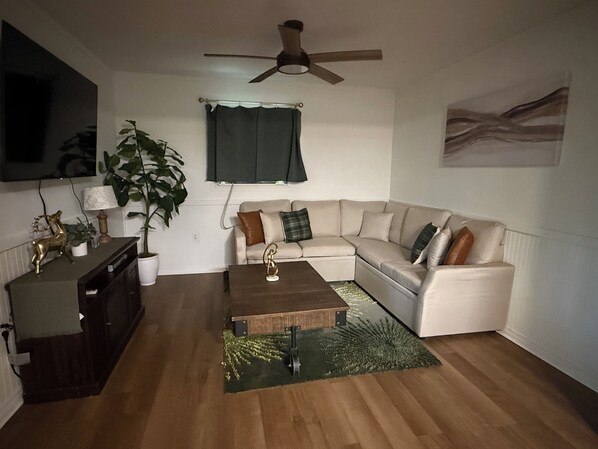 Smart TV, fireplace, DVD player, books