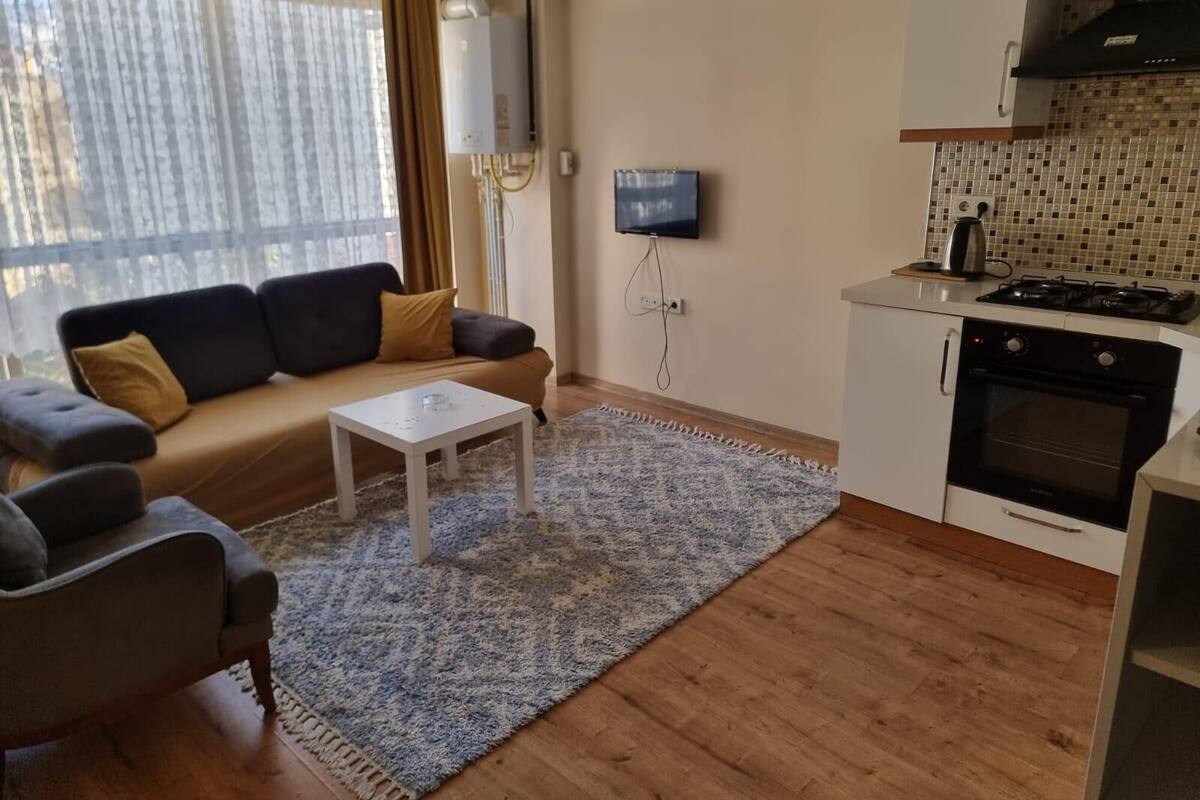A compact living space with a sofa, a small coffee table, a kitchen with a stove and oven, and a TV mounted on the wall.