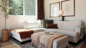 Smart TV, chimenea, libros