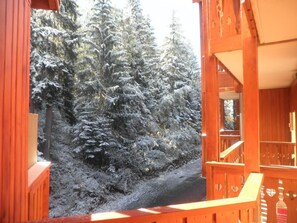 Une cabane en bois offrant une vue sur une forêt enneigée.