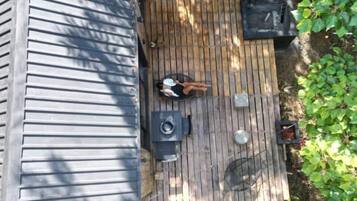 Una terraza de madera con zona de estar cubierta, una parrilla y un cobertizo pequeño.