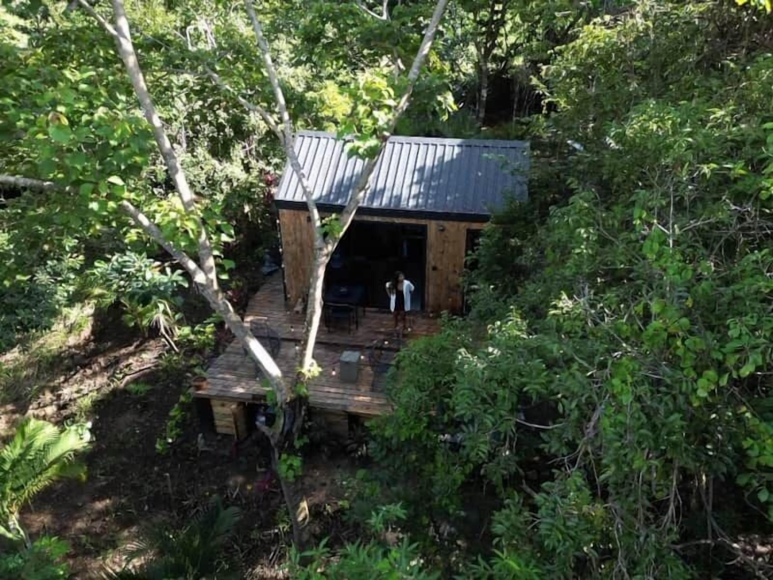 A rustic cabin with a wooden deck and a metal roof, surrounded by dense foliage.