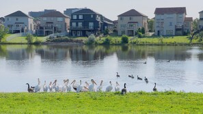 Exterior - Cozy townhouse with Spacious Bedroom and Private Bathroom in South Winnipeg (Winnipeg)