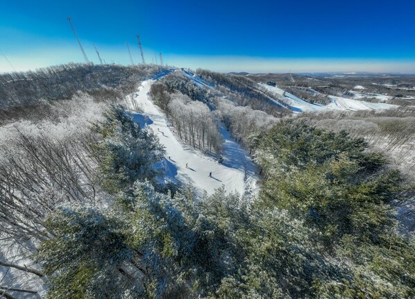 Una pista de esquí cubierta de nieve con árboles y líneas eléctricas al fondo.