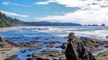 Site dâintĂ©rĂȘt