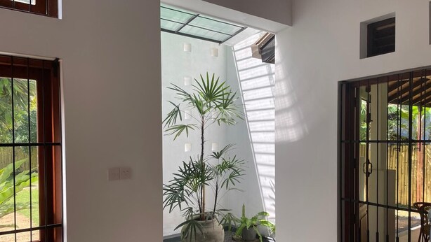 Un couloir avec une grande plante en pot, une porte vitrée et une vue sur l’extérieur.