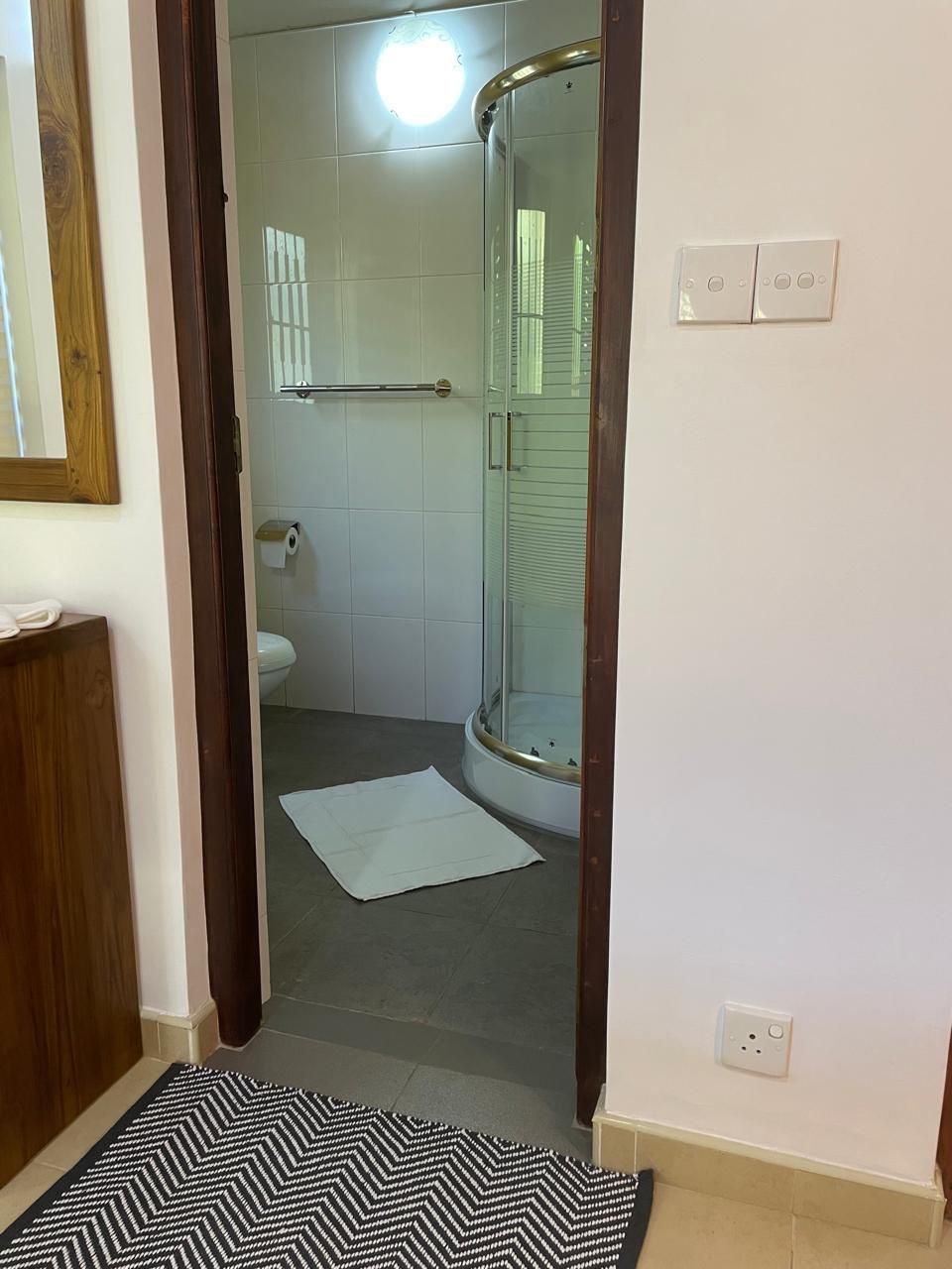 A bathroom with a glass shower enclosure, a toilet, and a white mat on the floor.