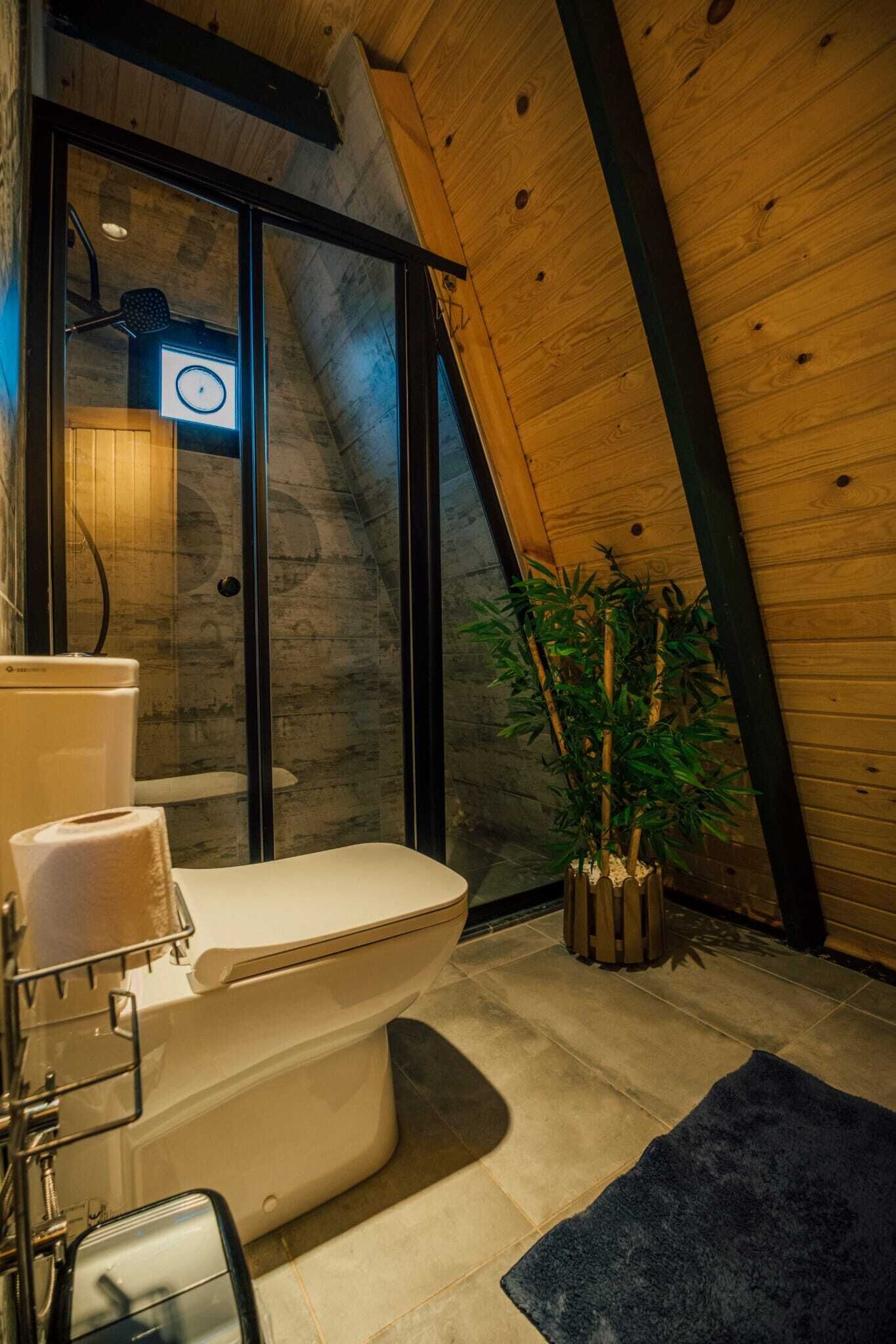 Une salle de bain avec des toilettes blanches, une douche en verre, une plante en bambou et un tapis bleu foncé.