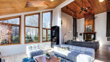 智能電視、壁爐、DVD 播放機、足球機