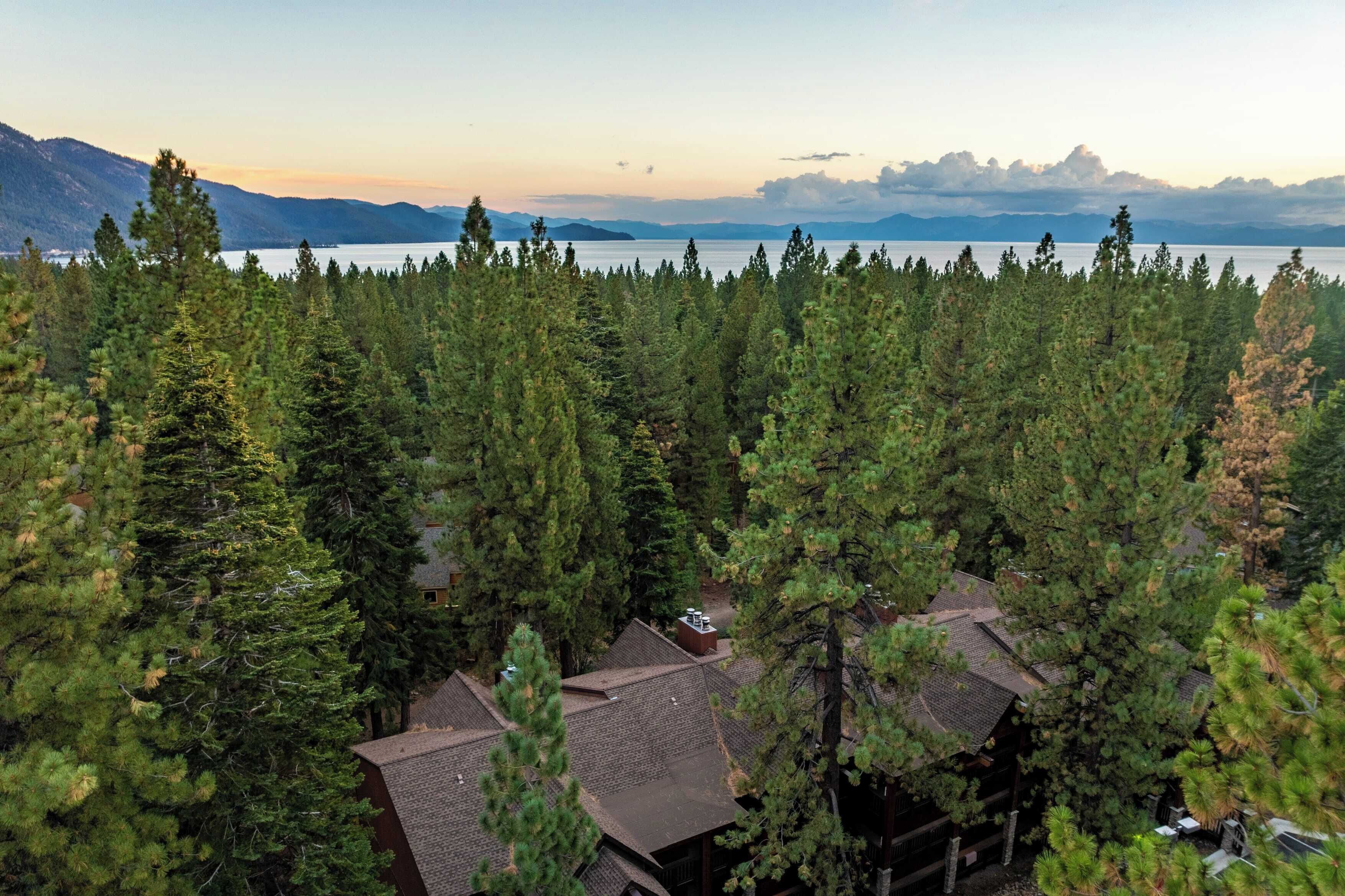 A forested area with houses and a lake in the background.