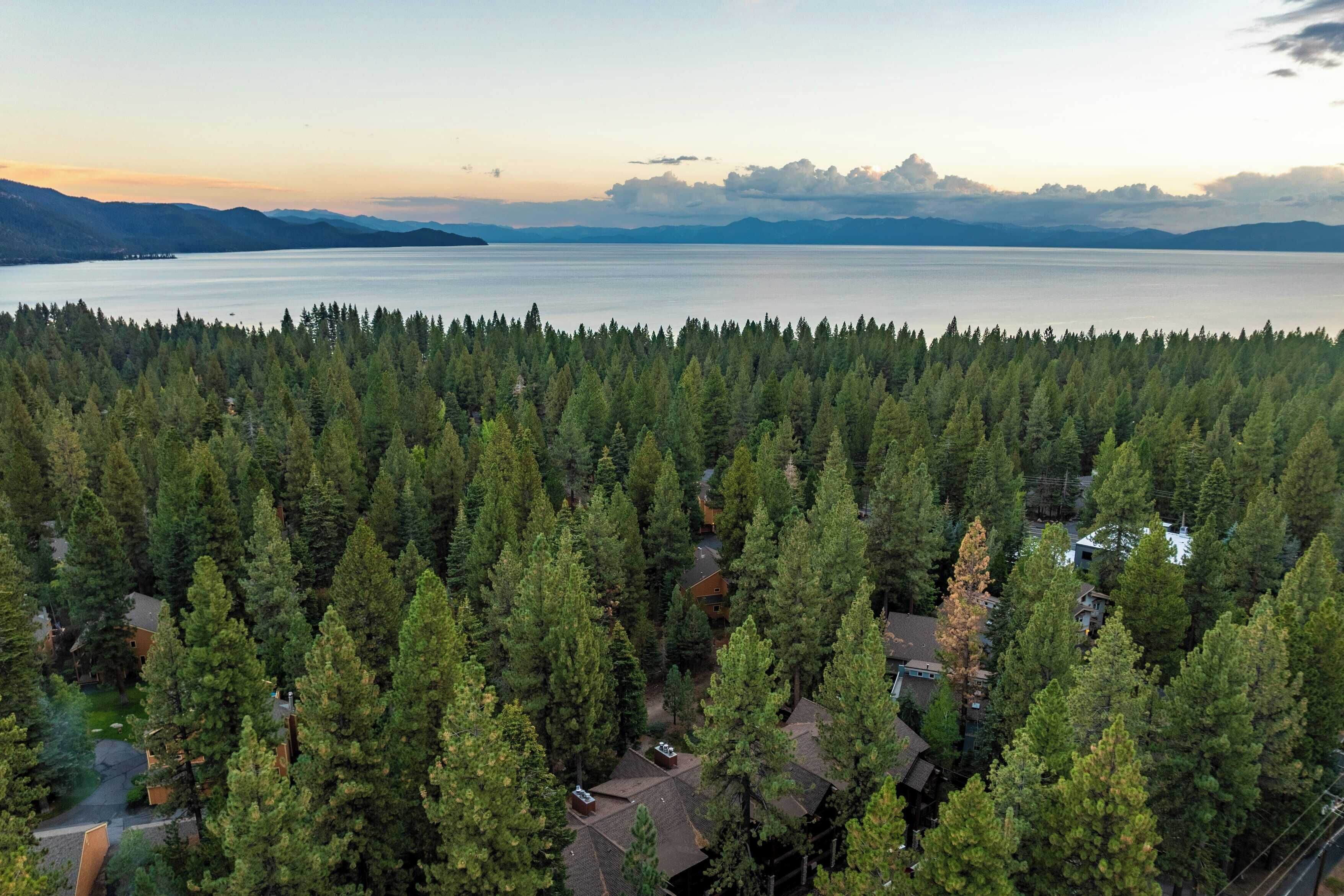 Uma área arborizada com casas e um lago.