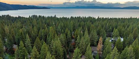 Uma área arborizada com casas e um lago.