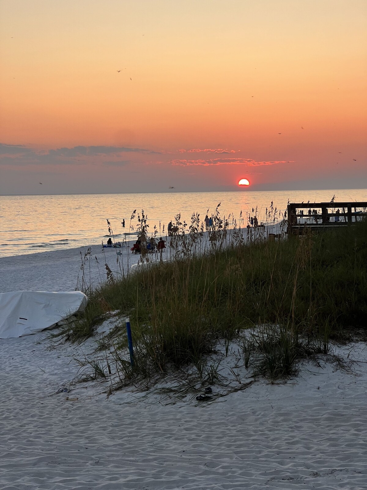 Imagen de perfil del propietario o de la propietaria