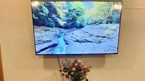 A fireplace with a TV mounted above it, a vase with flowers on the mantel, and a power outlet on the wall.