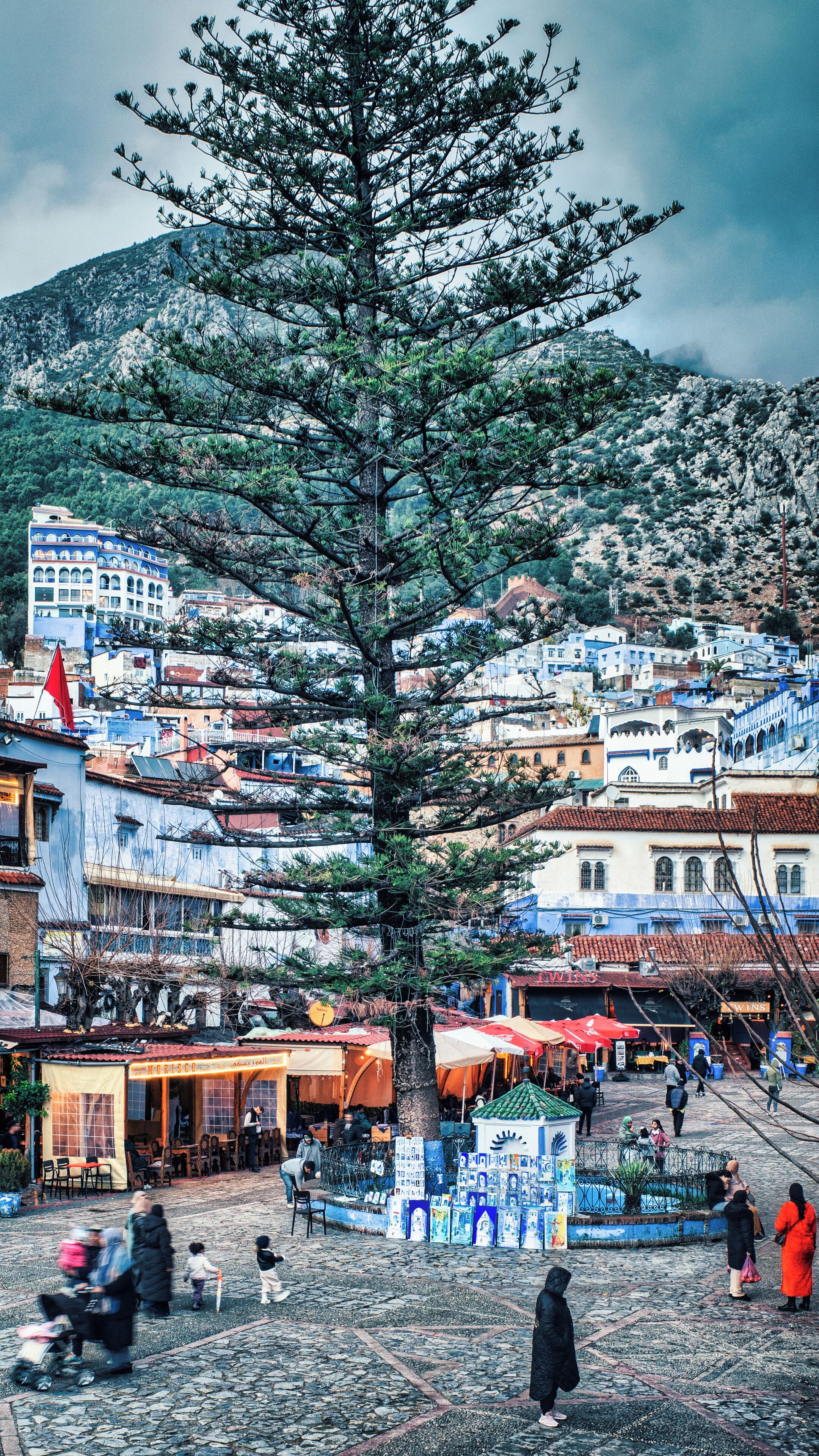 Un árbol frente a una colina con edificios y una calle empedrada.