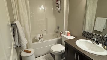 Hair dryer, towels, soap, shampoo