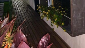 Un edificio moderno con terraza de madera, una ventana con persianas y una jardinera con flores amarillas.