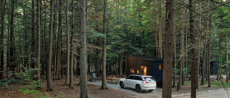 A forested area with a cabin and a vehicle parked on a gravel path.