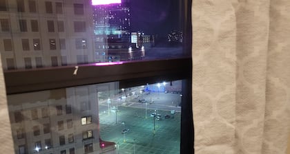 Luxury 1 bedroom, 1 Bath apt. in the middle of downtown Detroit w/parking spot!