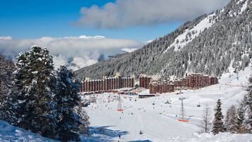 Sneeuw- en skisporten