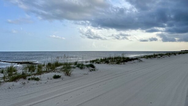 Een strand met zand en schaarse begroeiing.