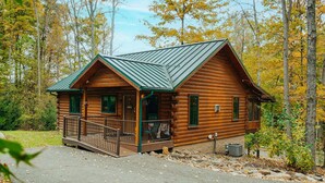 A log cabin with a porch and a green roof, surrounded by autumn trees. - Tranquil Escape Close to Dining & Entertainment (Millersburg)