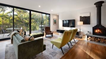 Smart TV, fireplace, stereo
