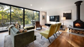 Smart TV, fireplace, stereo