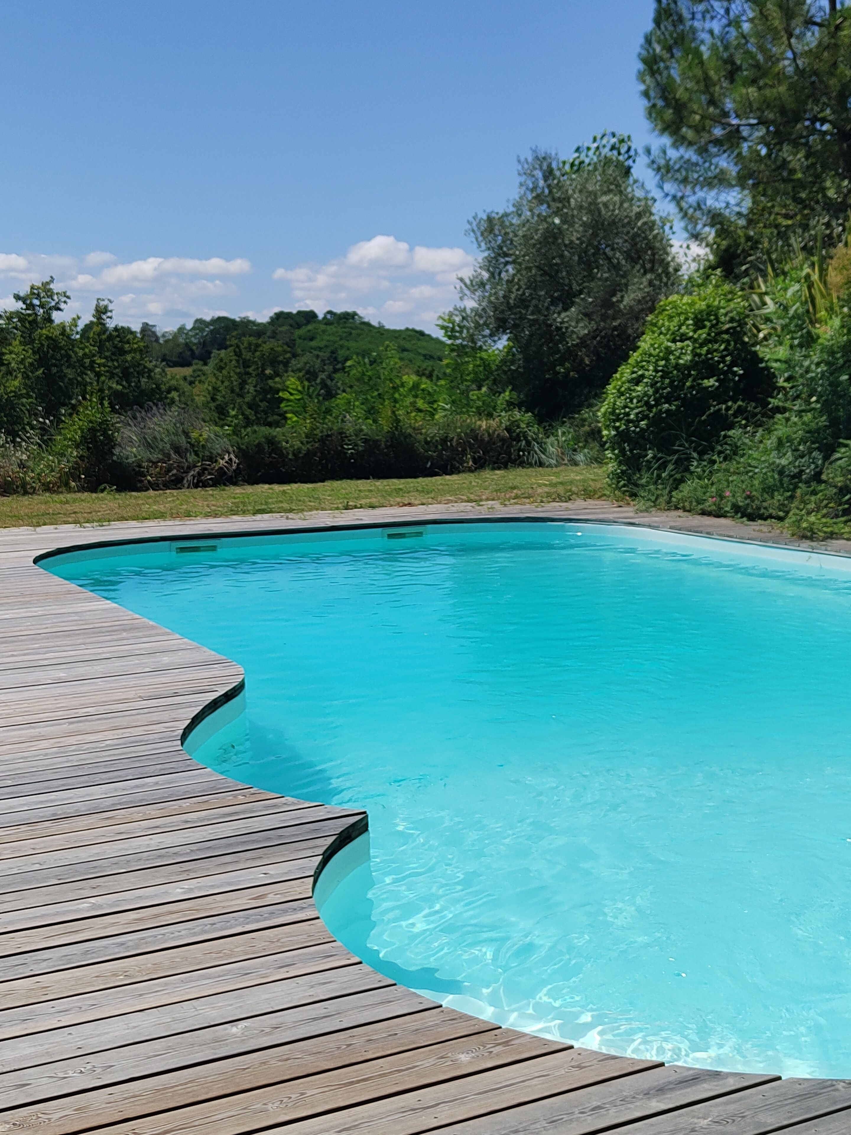 A curved swimming pool with a wooden deck.