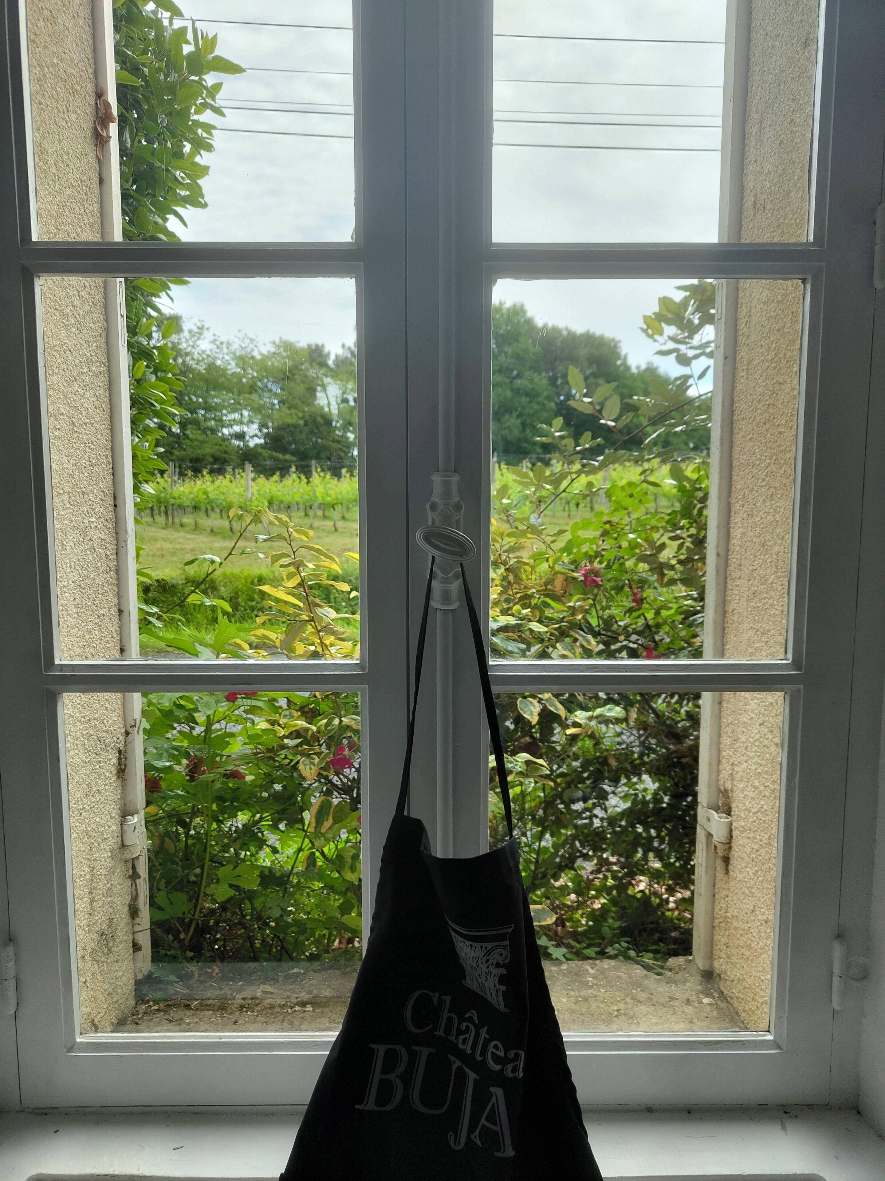 Una ventana con vista a un jardín y un bolso negro colgado en el alféizar.