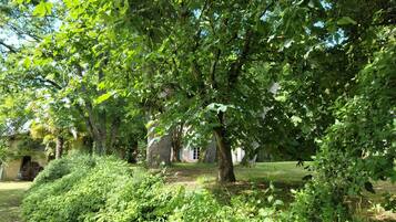 Área da propriedade