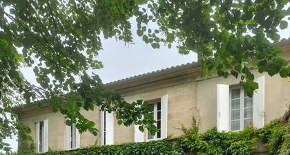 Grande maison avec 14 couchages, piscine vue sur vignes entre Blaye et Bordeaux
