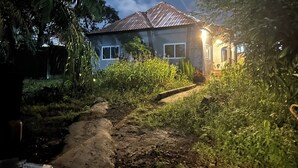 Una casa con un sendero de tierra que la lleva a ella, rodeada de vegetación.
