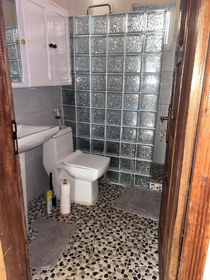Shower, bidet, towels, soap