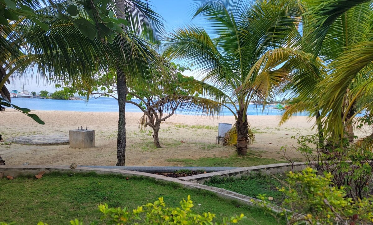 Imagen de perfil del propietario o de la propietaria