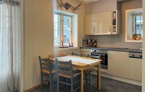 Fridge, oven, stovetop, dishwasher - Amazing apartment in Trysil with sauna (Trysil)