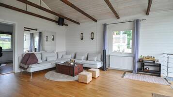 Smart-TV, Kamin