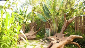 A garden with a stone pathway, wooden sculptures, and lush greenery. - Santi Sabai Ibira - Um Refúgio às Margens da Lagoa (Imbituba)